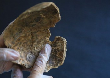 Σε πόλη της Μικράς Ασίας έκαναν επέμβαση νευροχειρουργικής πριν από 2.200 χρόνια!