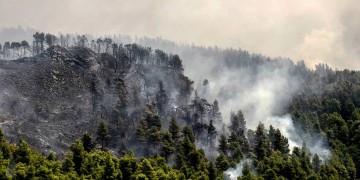Φωτιά στα Παλιάμπελα Βόνιτσας 3