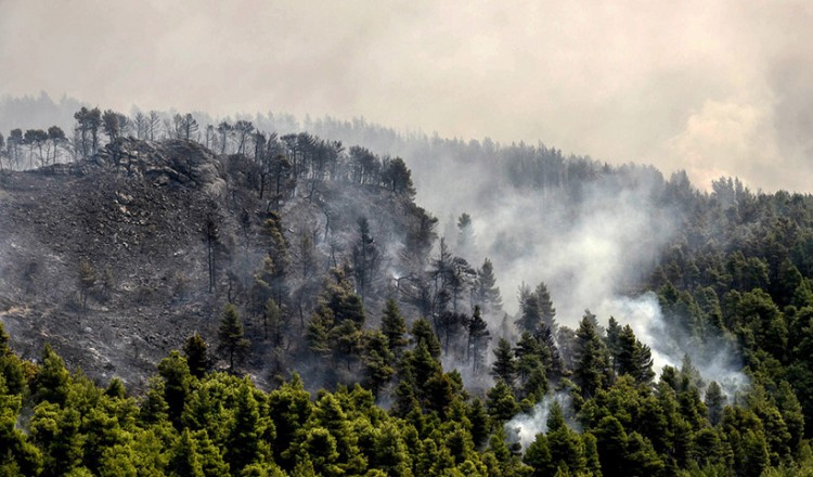Φωτιά στα Παλιάμπελα Βόνιτσας 3
