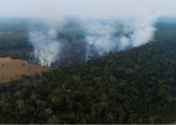 Η Βραζιλία απορρίπτει τη βοήθεια της G7 για τις πυρκαγιές στον Αμαζόνιο