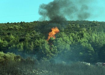 Φωτιές στις Μυκήνες και στις Φέρες Έβρου 2