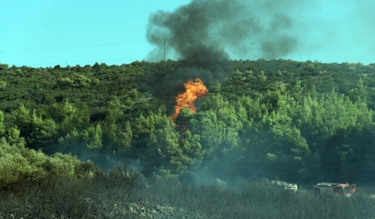 Φωτιές στις Μυκήνες και στις Φέρες Έβρου 2