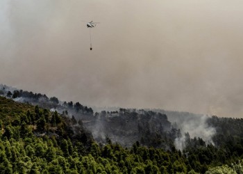 Πυρκαγιά έξω από την Τσαριτσάνη Ελασσόνας 7