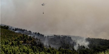 Πυρκαγιά έξω από την Τσαριτσάνη Ελασσόνας 7