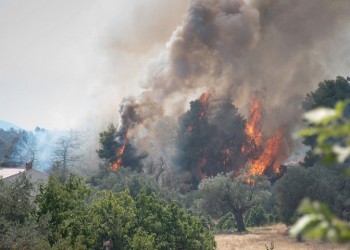 Πυρκαγιά έξω από την Τσαριτσάνη Ελασσόνας 3