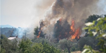 Πυρκαγιά έξω από την Τσαριτσάνη Ελασσόνας 3