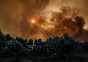 Πυρκαγιά έξω από την Τσαριτσάνη Ελασσόνας 2