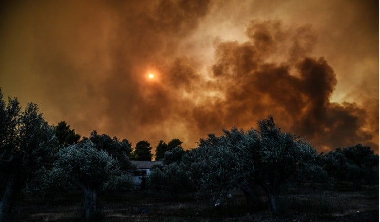 Πυρκαγιά έξω από την Τσαριτσάνη Ελασσόνας 2