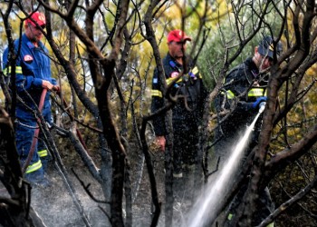 Πυρκαγιά στην Άνω Καλλιθέα Αχαΐας