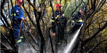 Πυρκαγιά στην Άνω Καλλιθέα Αχαΐας