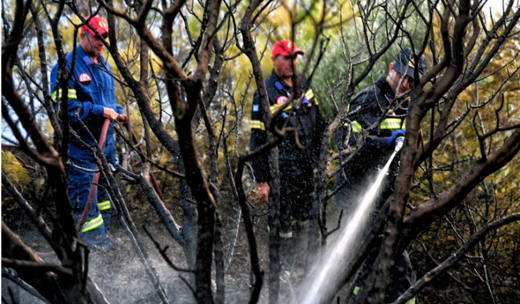Πυρκαγιά στην Άνω Καλλιθέα Αχαΐας