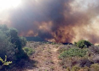 Φωτιά στην Ελαφόνησο: Αναζωπυρώθηκε η πυρκαγιά που ξέσπασε χθες – Εκκενώθηκε το κάμπινγκ