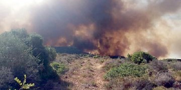 Φωτιά στην Ελαφόνησο: Αναζωπυρώθηκε η πυρκαγιά που ξέσπασε χθες – Εκκενώθηκε το κάμπινγκ