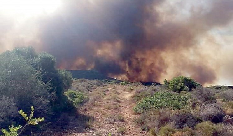 Φωτιά στην Ελαφόνησο: Αναζωπυρώθηκε η πυρκαγιά που ξέσπασε χθες – Εκκενώθηκε το κάμπινγκ