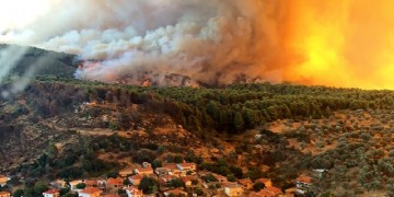Πυρκαγιά έξω από την Τσαριτσάνη Ελασσόνας 4