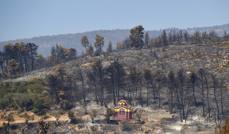 Φωτιά στην Εύβοια: Στο μικροσκόπιο της Πυροσβεστικής όλα τα στοιχεία – Τι λένε για το ενδεχόμενο του εμπρησμού