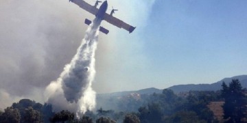 Ηλεία: Φωτιά στην περιοχή του Σέκουλα Ανδρίτσαινας