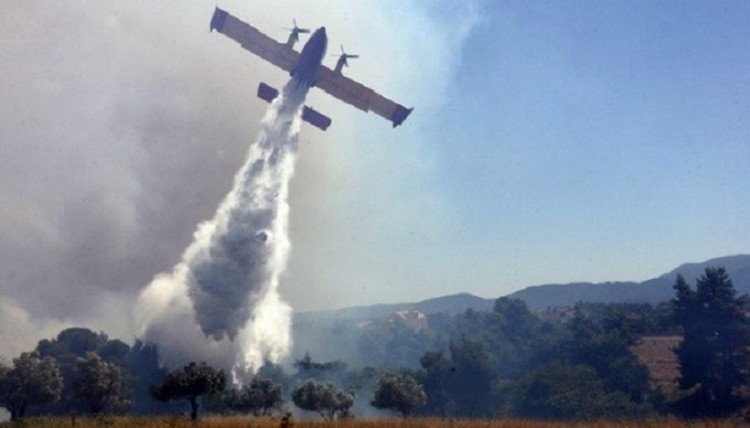 Ηλεία: Φωτιά στην περιοχή του Σέκουλα Ανδρίτσαινας