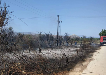 Υψηλός κίνδυνος πυρκαγιάς και σήμερα – 55 μέτωπα σε ένα 24ωρο