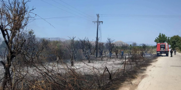 Υψηλός κίνδυνος πυρκαγιάς και σήμερα – 55 μέτωπα σε ένα 24ωρο