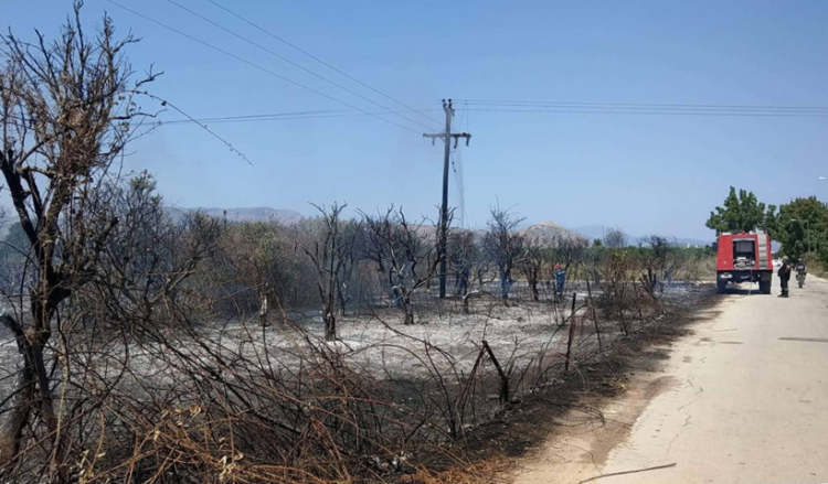 Υψηλός κίνδυνος πυρκαγιάς και σήμερα – 55 μέτωπα σε ένα 24ωρο