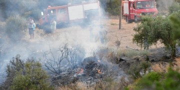 Φωτιά στην Αρτέμιδα Αττικής, σε περιοχή με σπίτια