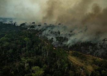 Βραζιλία: Εκατοντάδες νέες φωτιές στην Αμαζονία – Η αγωνία μεγαλώνει
