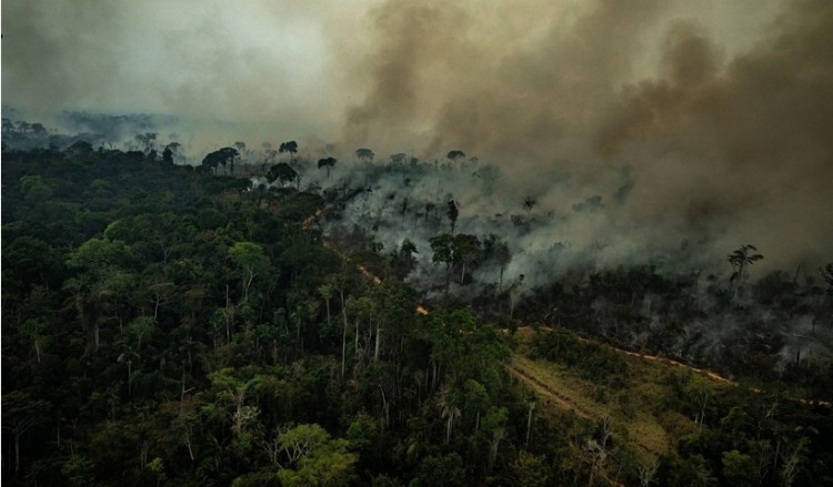 Βραζιλία: Εκατοντάδες νέες φωτιές στην Αμαζονία – Η αγωνία μεγαλώνει