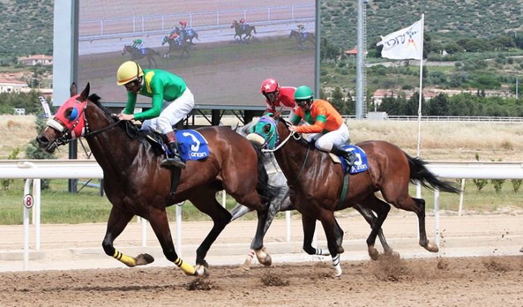 Πρεμιέρα στο Markopoulo Park με έξι ιπποδρομίες και τζακ ποτ