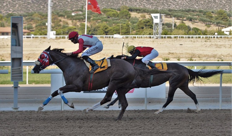 Markopoulo Park: Όλα τα βλέμματα στο Κύπελλο Summer Sprint