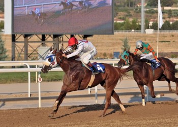 Markopoulo Park: Οκτώ δυνατές κούρσες και τζακ ποτ στο Σκορ 6
