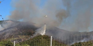 Πυρκαγιά έξω από την Τσαριτσάνη Ελασσόνας 5