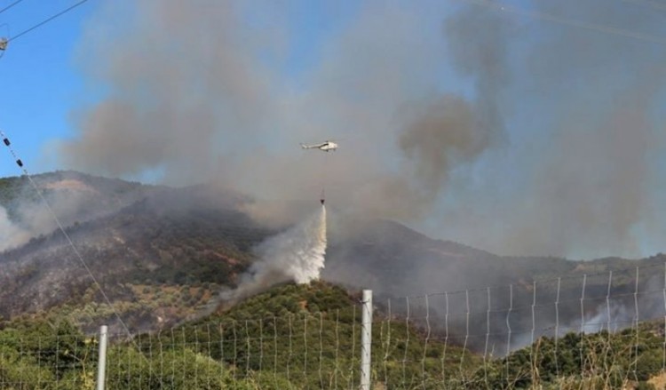 Πυρκαγιά έξω από την Τσαριτσάνη Ελασσόνας 5