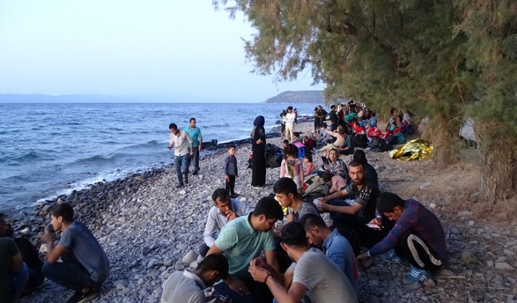 Δημιουργείται μητρώο μελών και εργαζόμενων στις ΜΚΟ 6