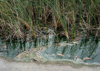 Ο Δήμος Ιλίου προσφεύγει στον εισαγγελέα για το Πάρκο Τρίτση (φωτο)
