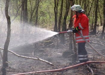 Φωτιές στις Μυκήνες και στις Φέρες Έβρου 4