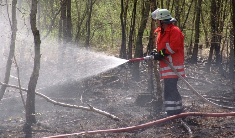Φωτιές στις Μυκήνες και στις Φέρες Έβρου 4