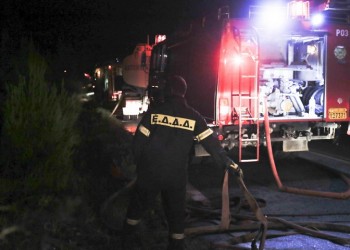 Σε ύφεση η φωτιά στον Διόνυσο Αττικής