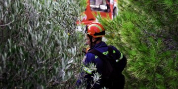 (Φωτ.: αρχείο ΑΠΕ-ΜΠΕ)