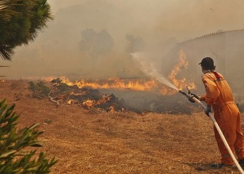 Φωτιά σε δασική έκταση στην Καβησό Έβρου