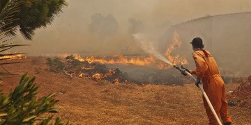 Φωτιά σε δασική έκταση στην Καβησό Έβρου