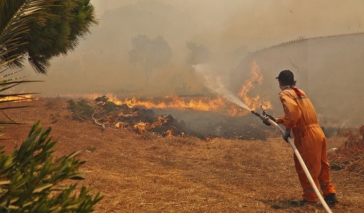 Φωτιά σε δασική έκταση στην Καβησό Έβρου