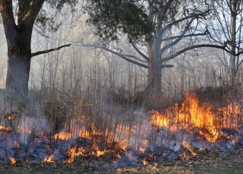 Φωτιά στα Παλιάμπελα Βόνιτσας 2