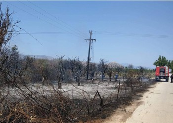 Υπό έλεγχο η πυρκαγιά στην Παλλήνη
