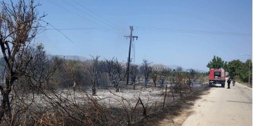 Υπό έλεγχο η πυρκαγιά στην Παλλήνη