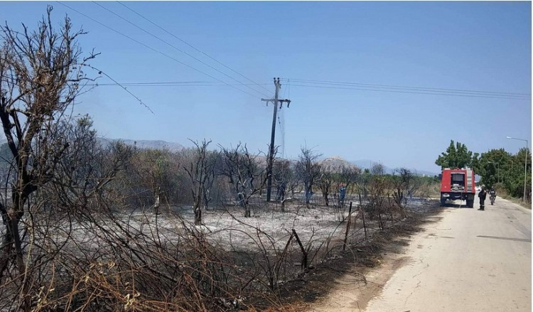Υπό έλεγχο η πυρκαγιά στην Παλλήνη