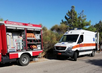 Τραυματισμός άνδρα στο Χαλάνδρι από πτώση δένδρου 2