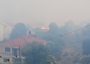 Φωτιές στις Μυκήνες και στις Φέρες Έβρου 3