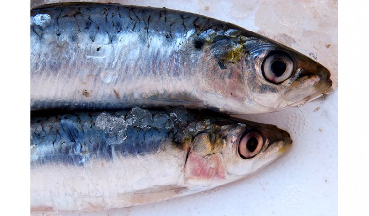Το αντιοξειδωτικό τρόφιμο που θωρακίζει το ανοσοποιητικό και την καρδιά