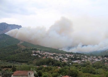 Φωτια στην Άνδρο – Καίει δασική έκταση 3